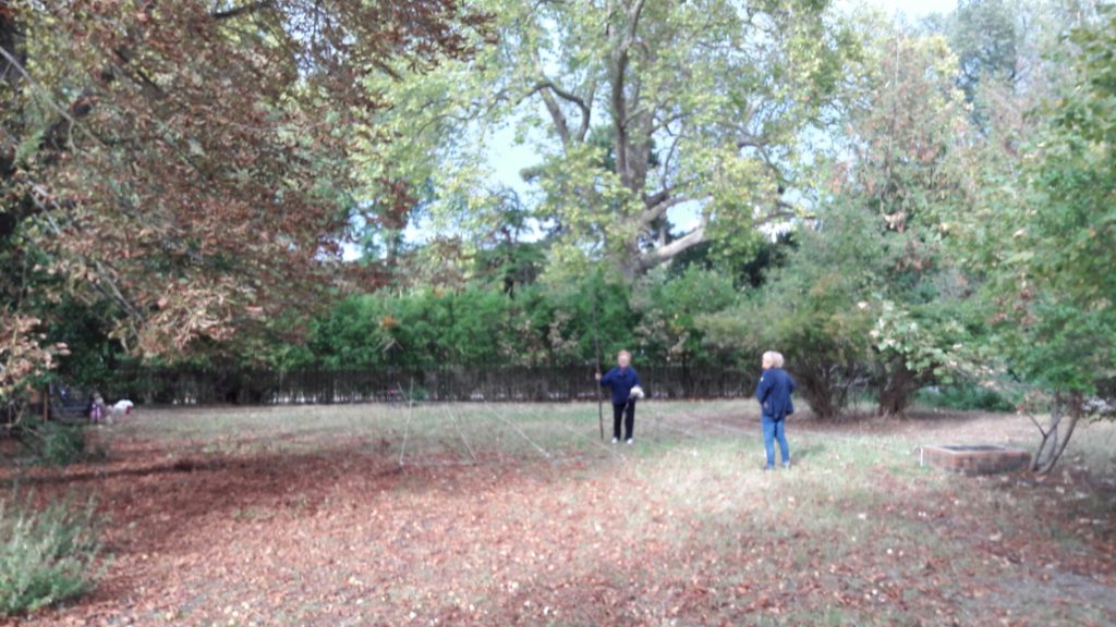 Jardin partagé de Saint Maurice - Les Semeurs du pont