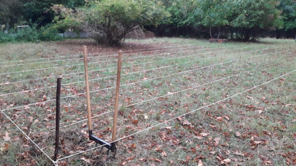 Jardin partagé de Saint Maurice - Les Semeurs du pont