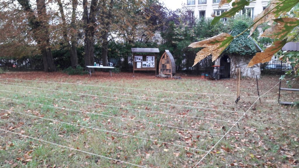 Jardin partagé de Saint Maurice - Les Semeurs du pont