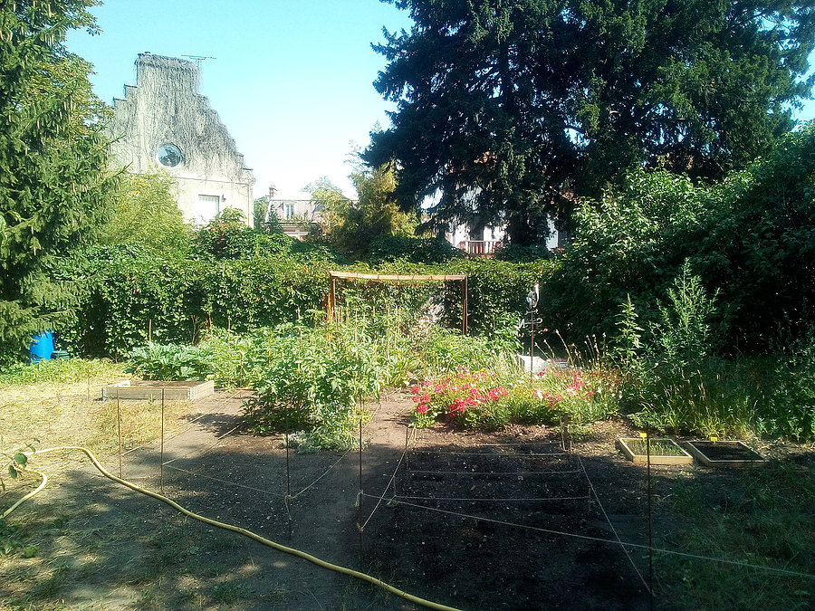 Le début des jardins