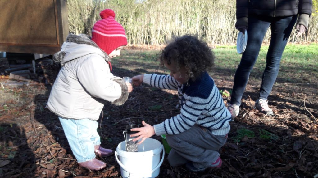 Le jardin ouvert malgré l'hiver - Semeurs du ponu