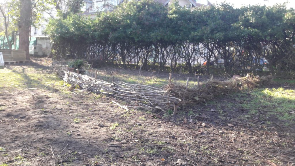 Le jardin ouvert malgré l'hiver - Semeurs du ponu