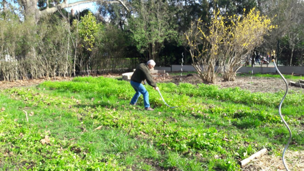 Le jardin du val d'osnes avant le confinement - Semeurs du pont