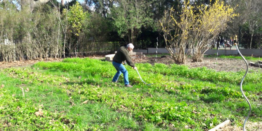 Le jardin du val d'osnes avant le confinement - Semeurs du pont