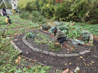 Désherbage et paillage de l'espace des plantes aromatiques