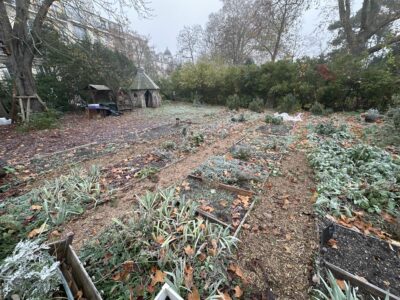 Broyage de branches, déversé sur les chemins